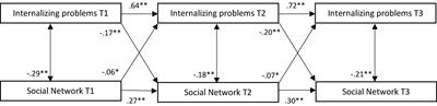 The Longitudinal Interplay Between Social Network and Psychopathology in Multi-Problem Young Adult Men; Separating Within-and Between-Person Effects